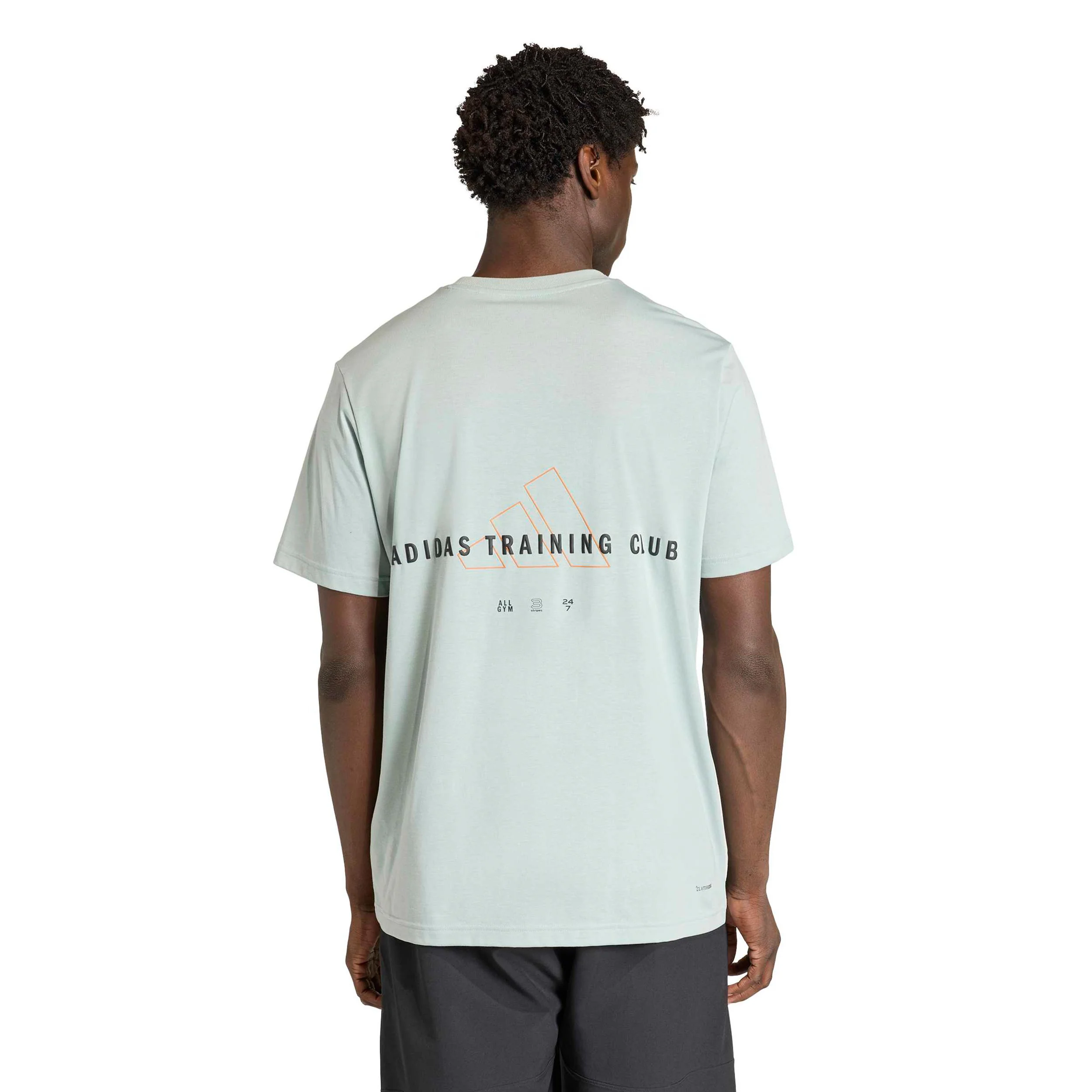 Climacool Identitiy Graphic T-Shirt Herren-salbei - Image 3