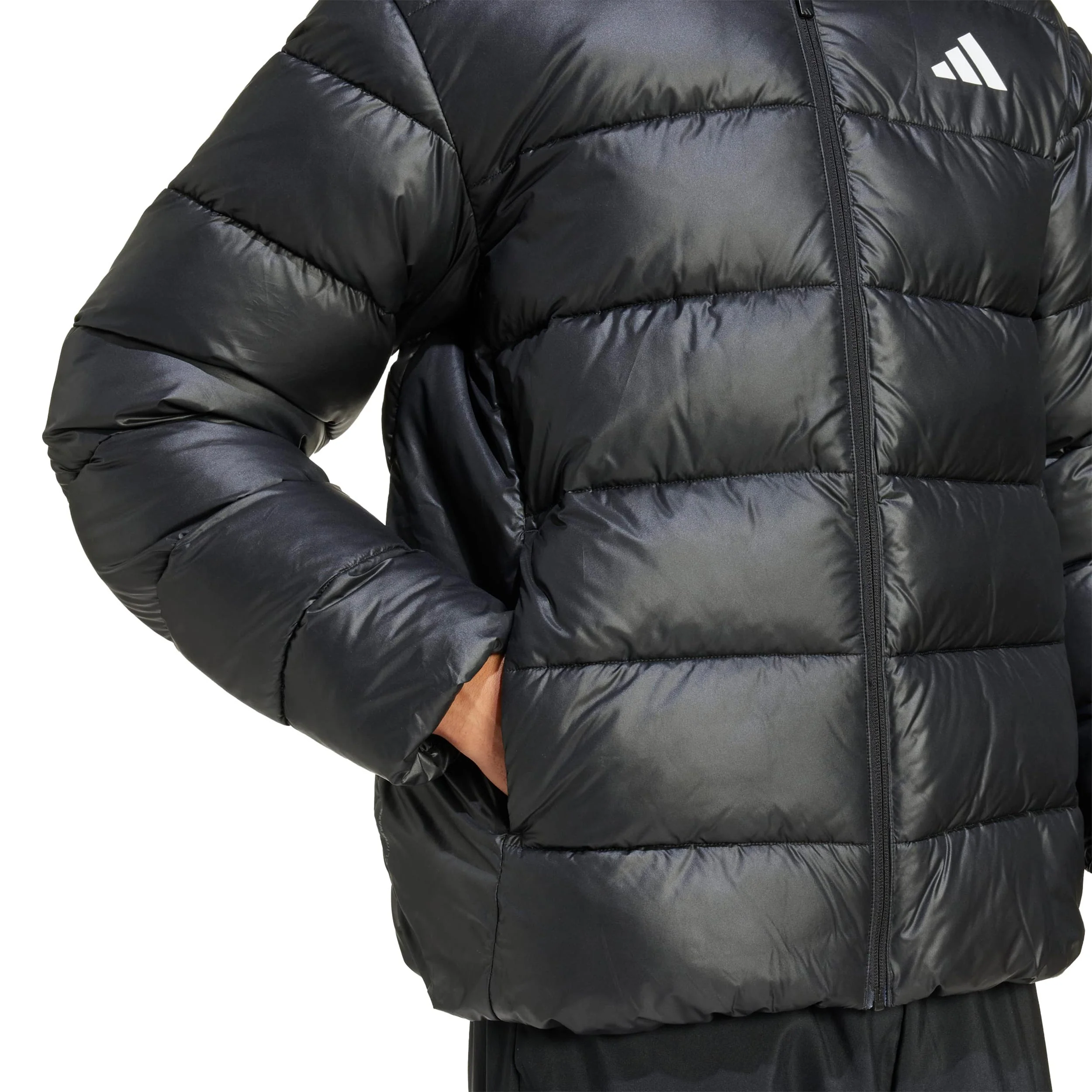 Essential Daunenjacke Herren-schwarz - Image 6
