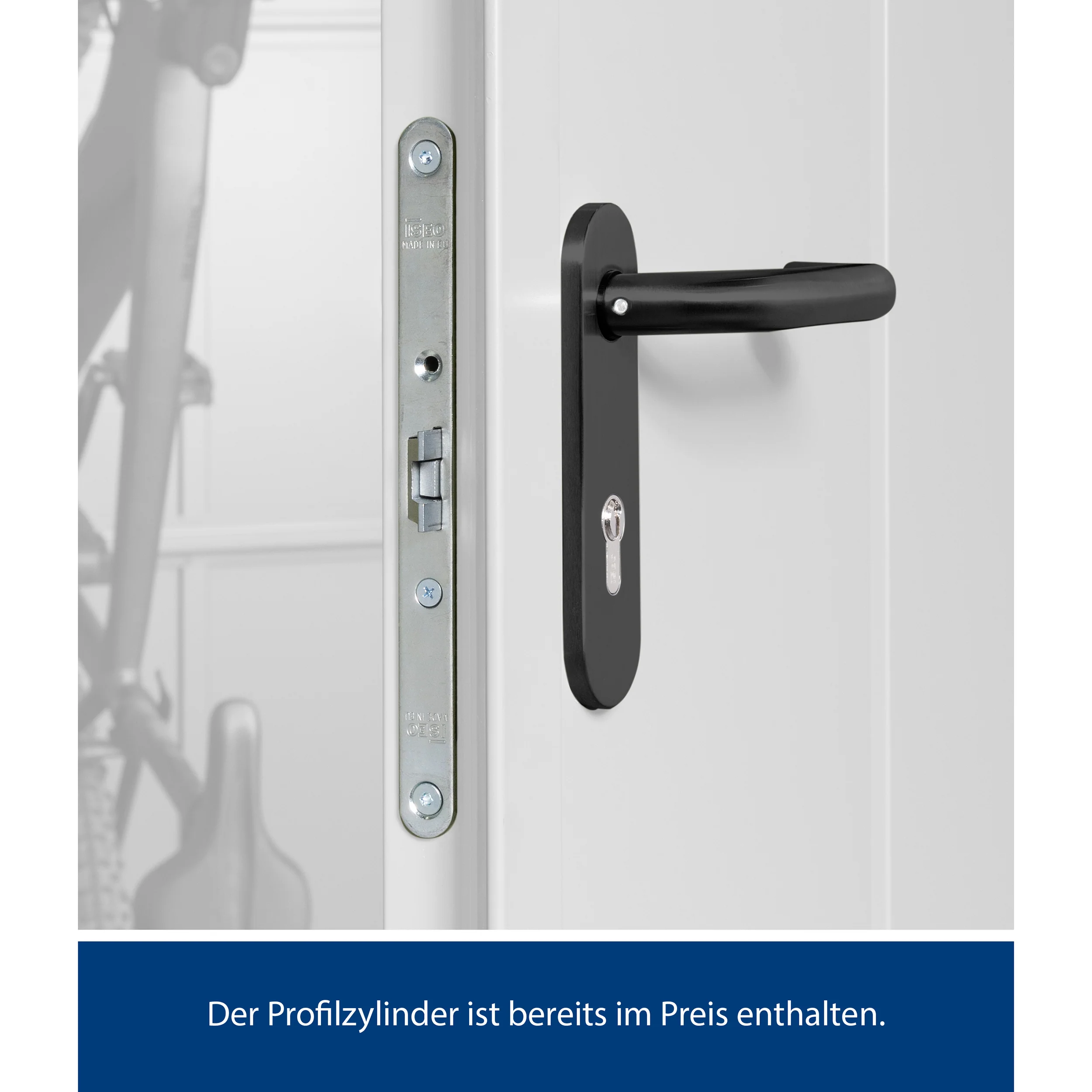Set Berry Modern-P,Typ1 Gerätehaus-Weißaluminium - Image 7
