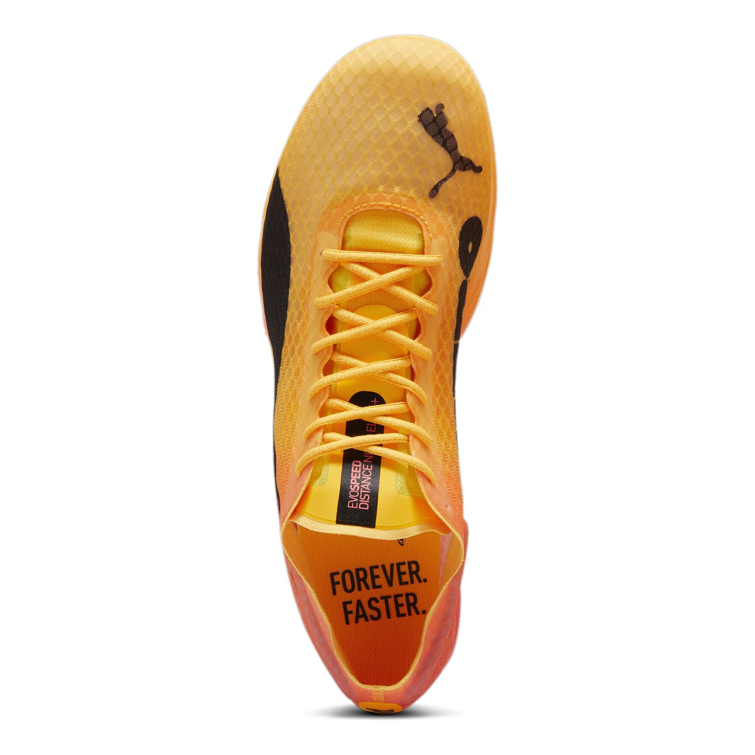 EvoSPEED Distance Nitro Elite+ 4 Spikeschuh-Orange,Schwarz - Image 3