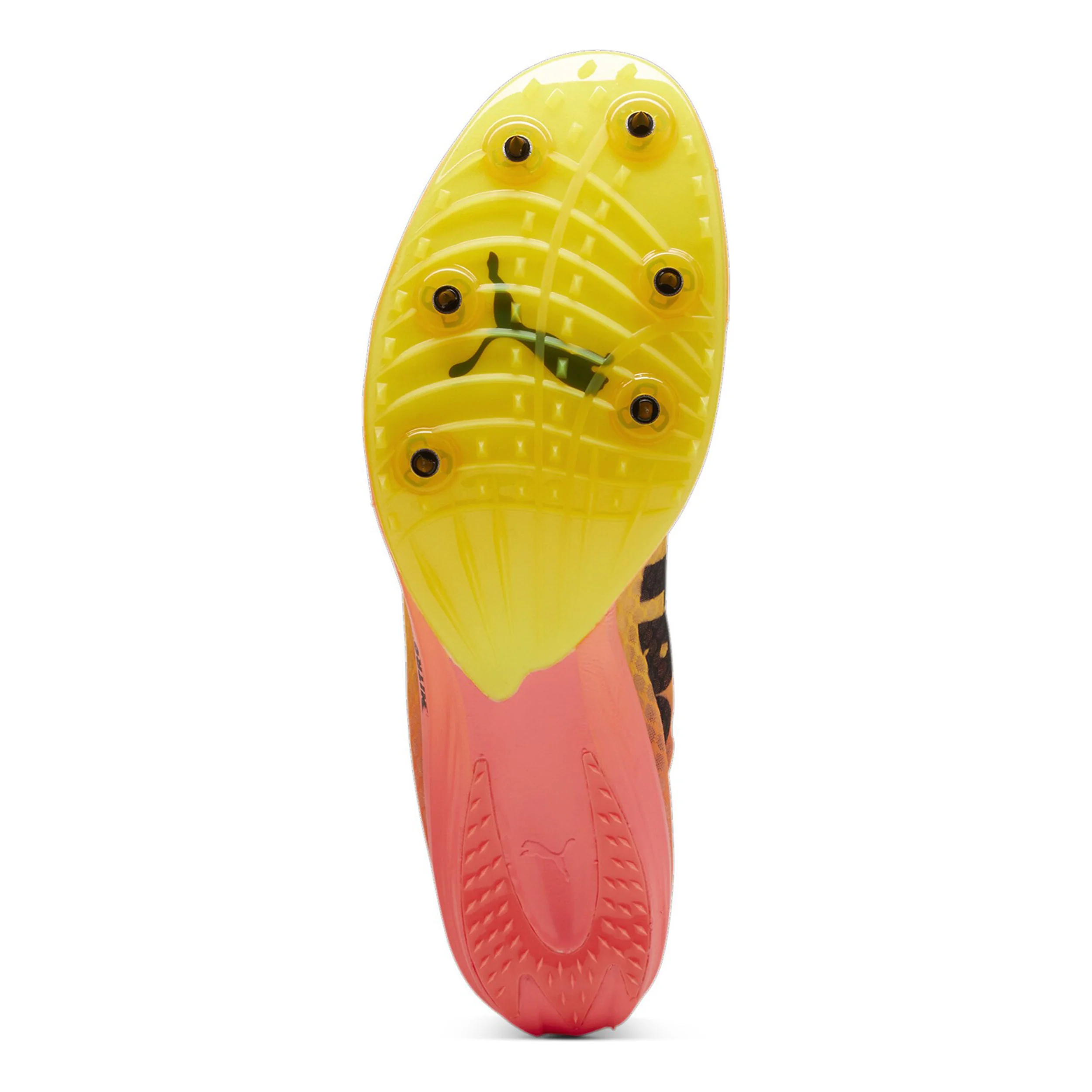 EvoSPEED Distance Nitro Elite+ 4 Spikeschuh-Orange,Schwarz - Image 4