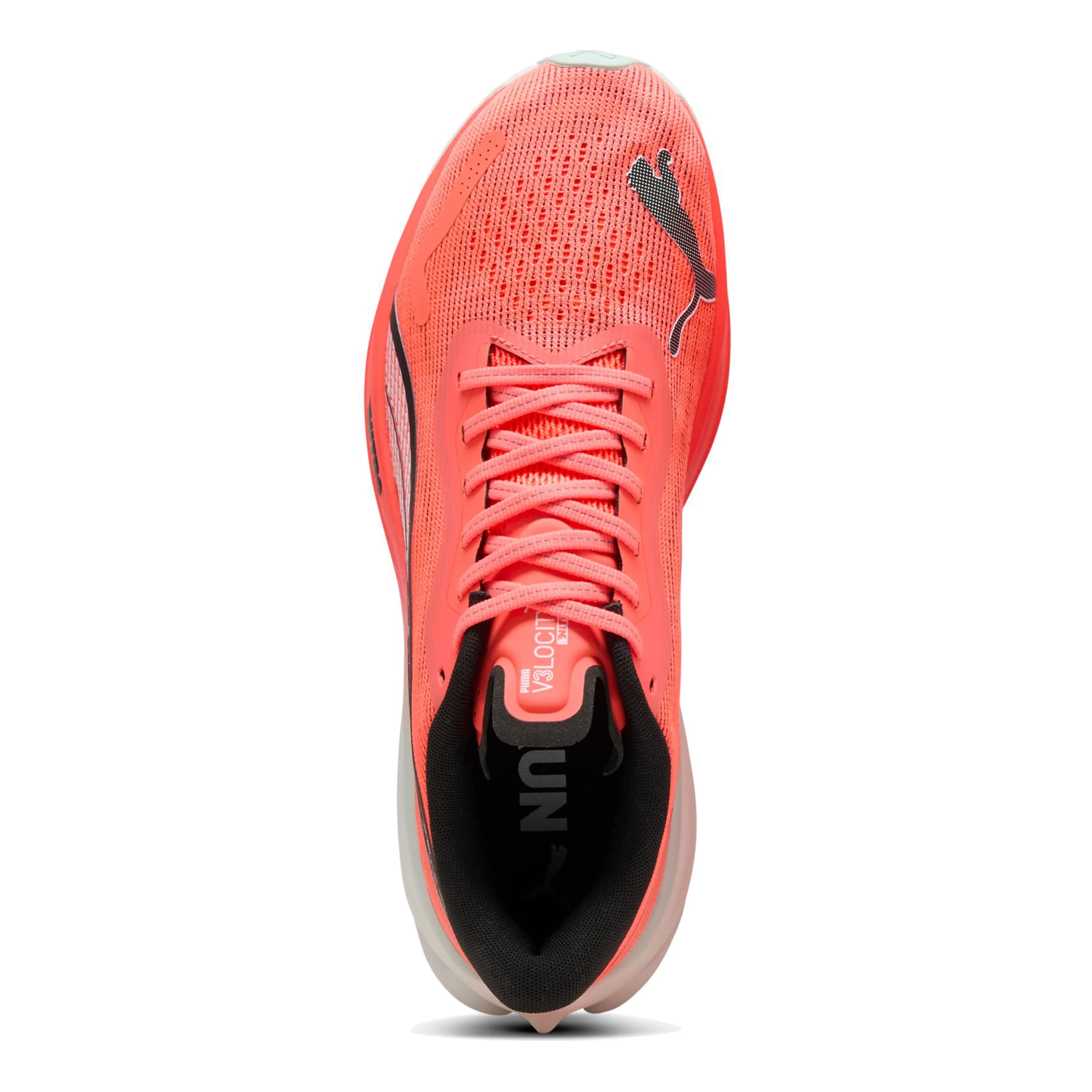 Velocity Nitro 3 Neutralschuh Herren-Rot,Schwarz - Image 3