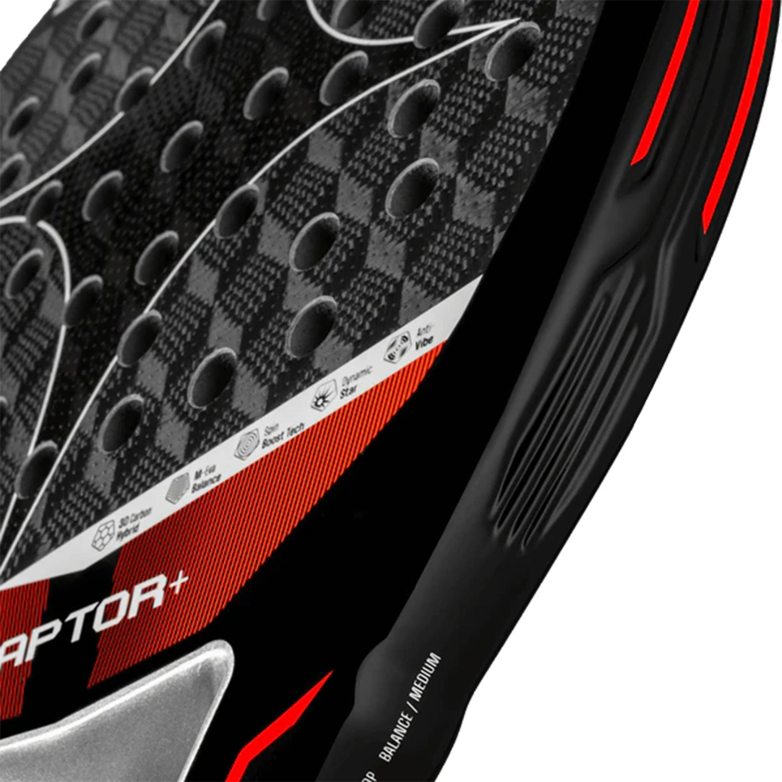 Raptor + PadelschlÀger - Image 4